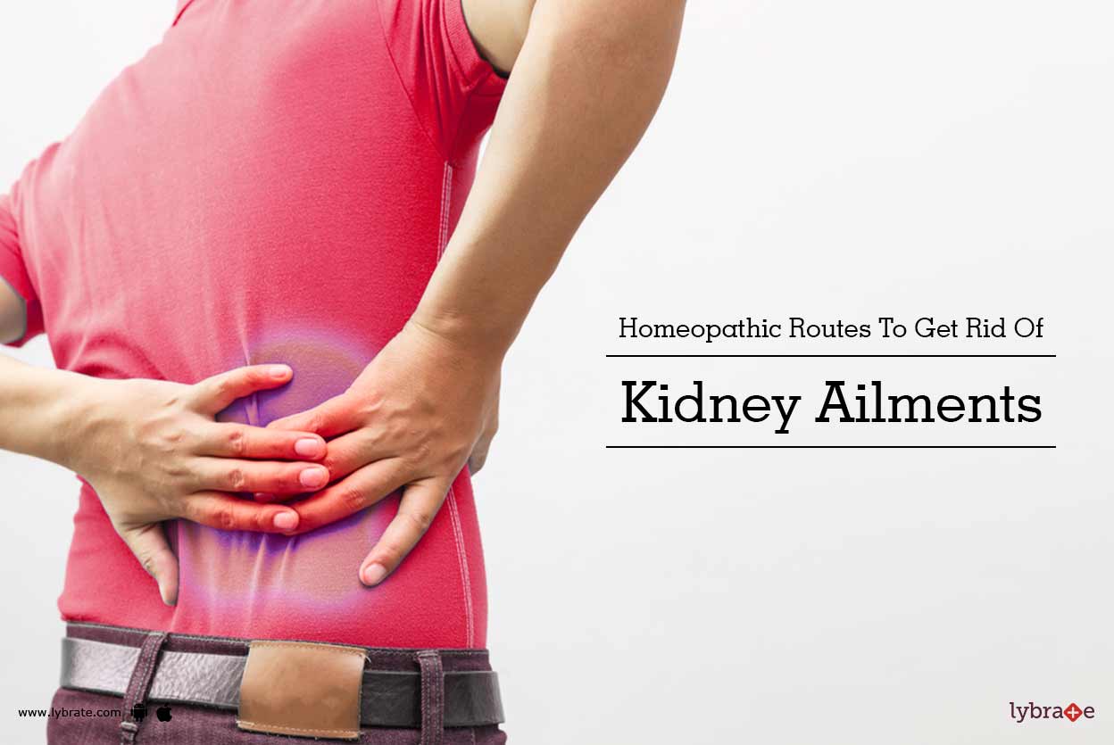 Homeopathic Routes To Get Rid Of Kidney Ailments By Dr. Prabha