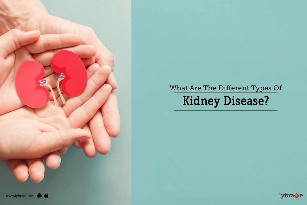 What Are The Different Types Of Kidney Disease? - By Dr. Sanjeev Kumar