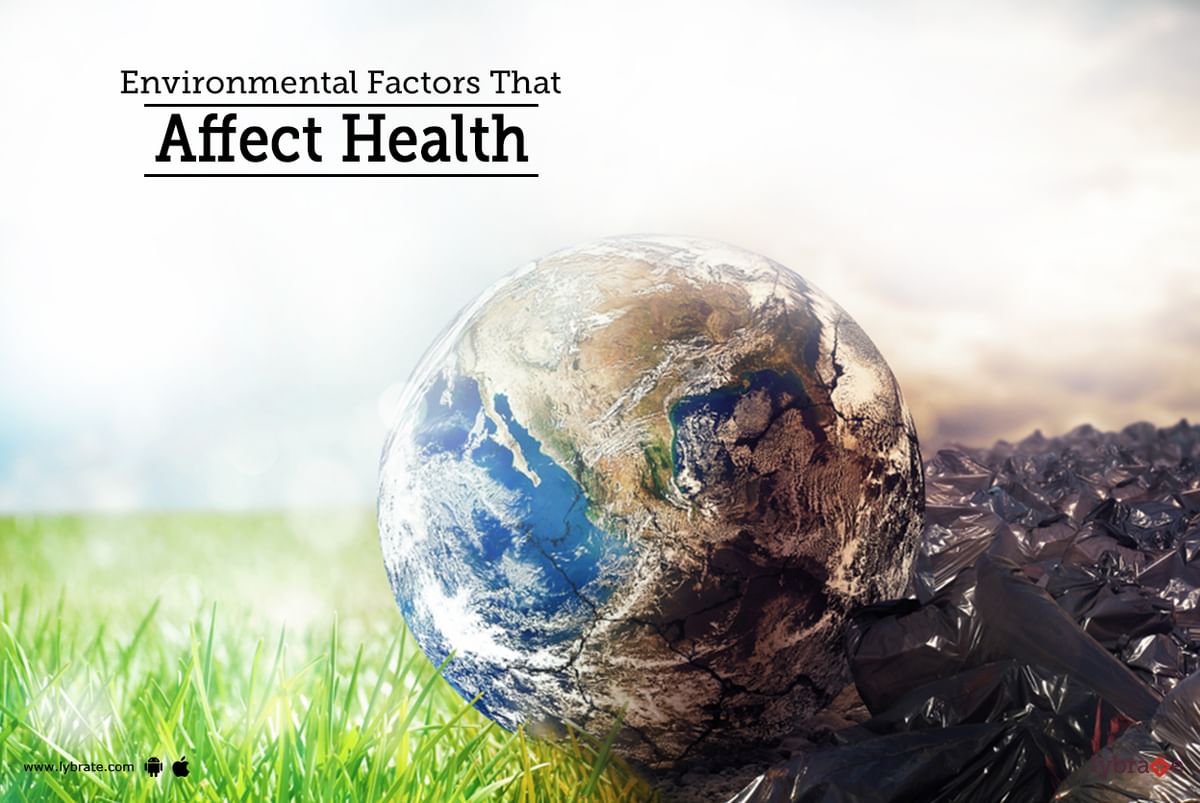 Environmental Factors That Affect Health By Dr Sanjeev Kumar Singh 