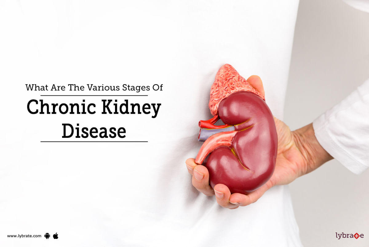 What Are The Various Stages Of Chronic Kidney Disease - By Dr. Garima ...