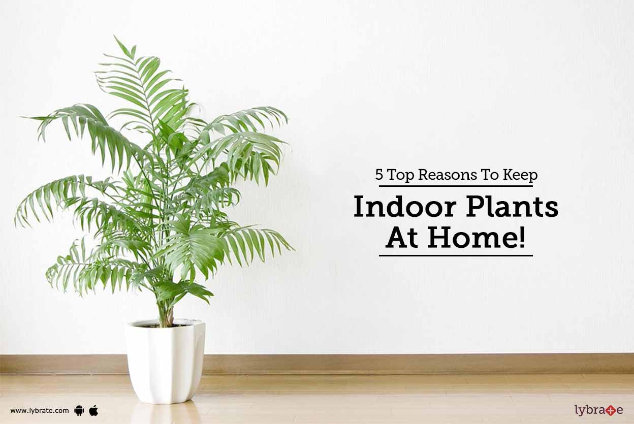 5 Top Reasons To Keep Indoor Plants At Home! - By Dr. Sudhansu Pandey ...