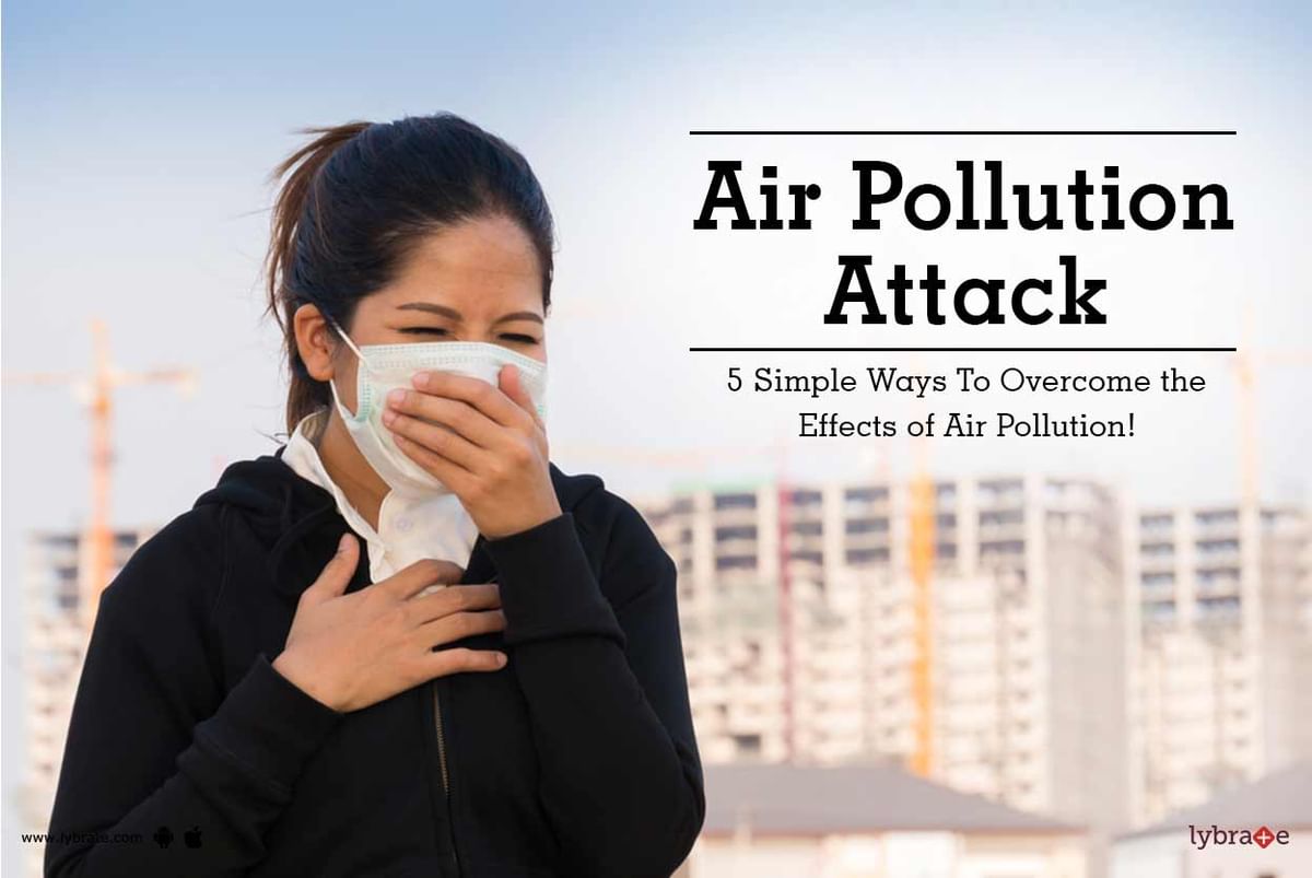 Air Pollution Attack - 5 Simple Ways To Overcome the Effects of Air ...