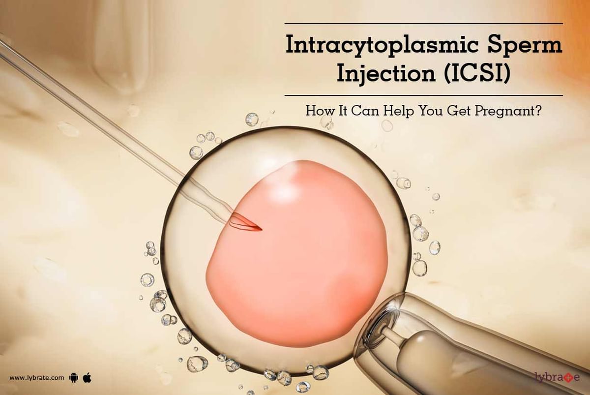 Intracytoplasmic Sperm Injection Icsi How It Can Help You Get