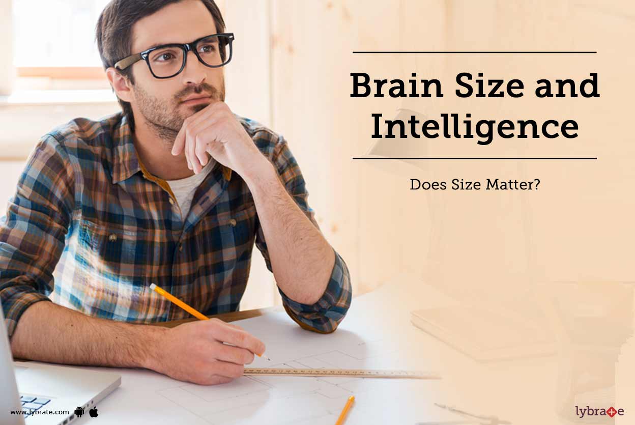 Brain Size and Intelligence Does Size Matter? By Dr. Balasubramaniam