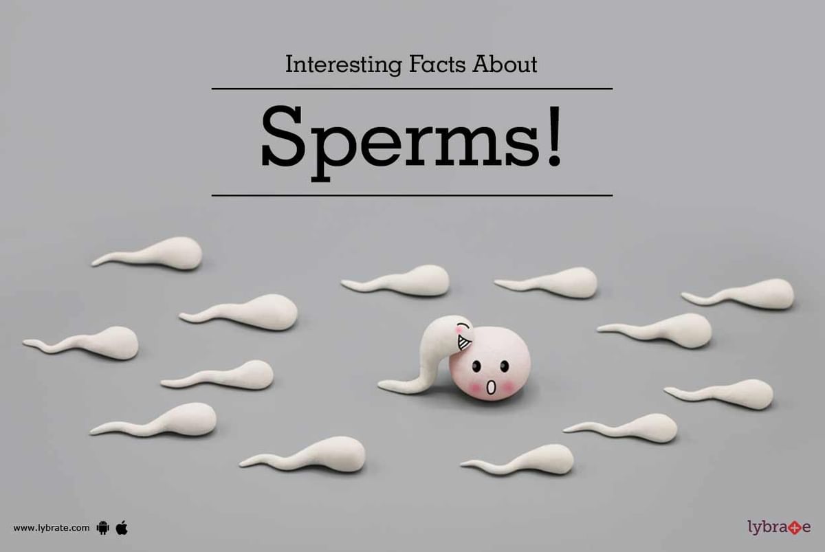 Interesting Facts About Sperms By Dr Masroor Ahmad Wani Lybrate