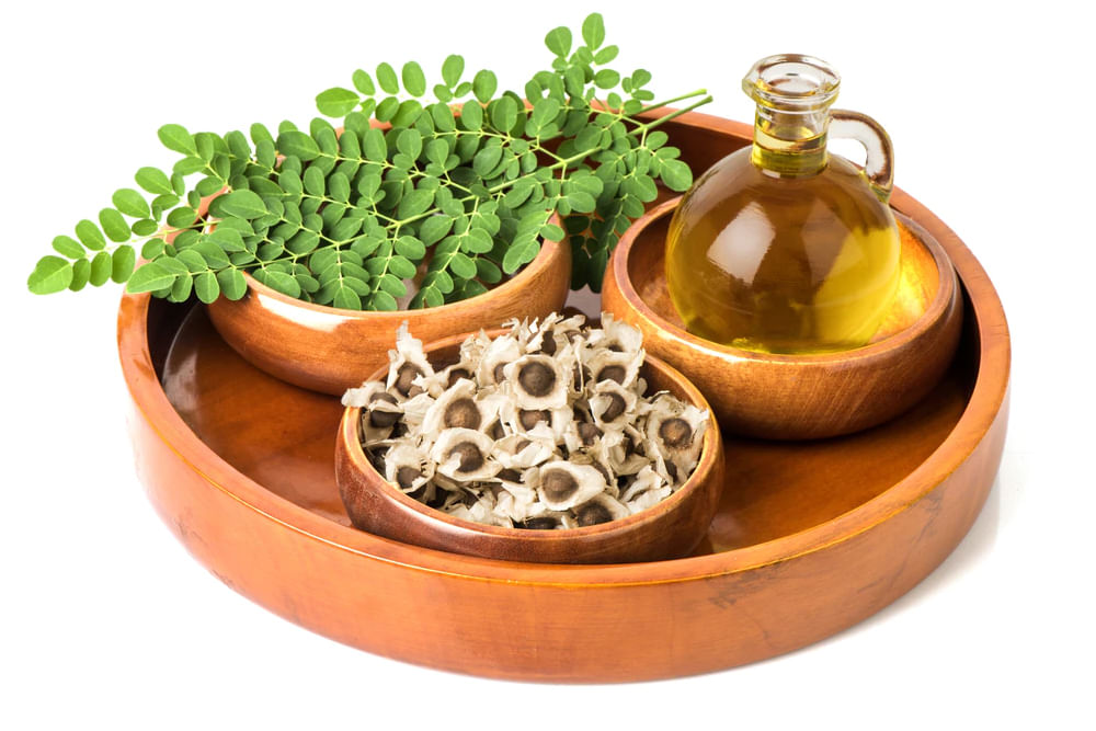 Moringa Seeds Enhance Sexual Performance In Men By Dr. Suresh