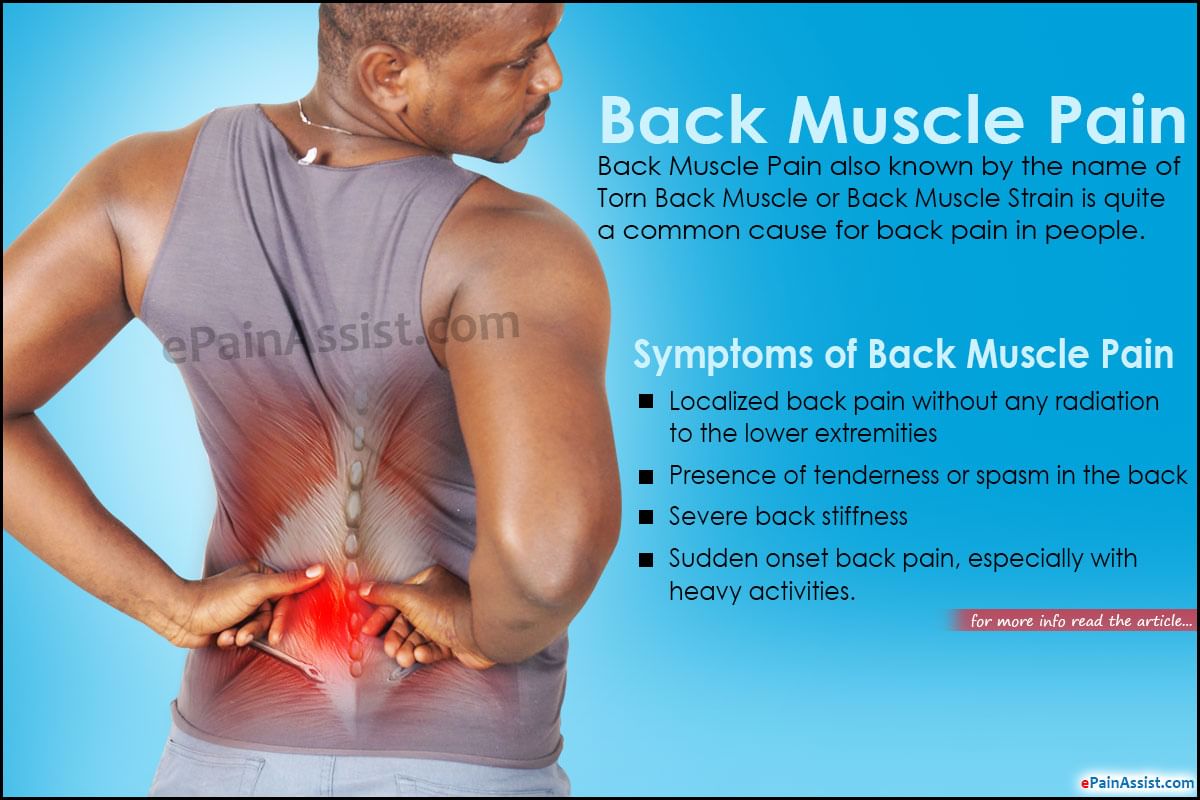 Back Pain Symptoms By Dr Radhika Amulraj Lybrate