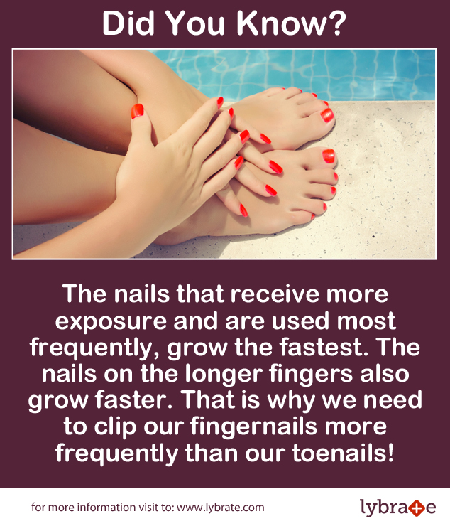 Super Fact of the Day Your toenails and fingernails grow at different