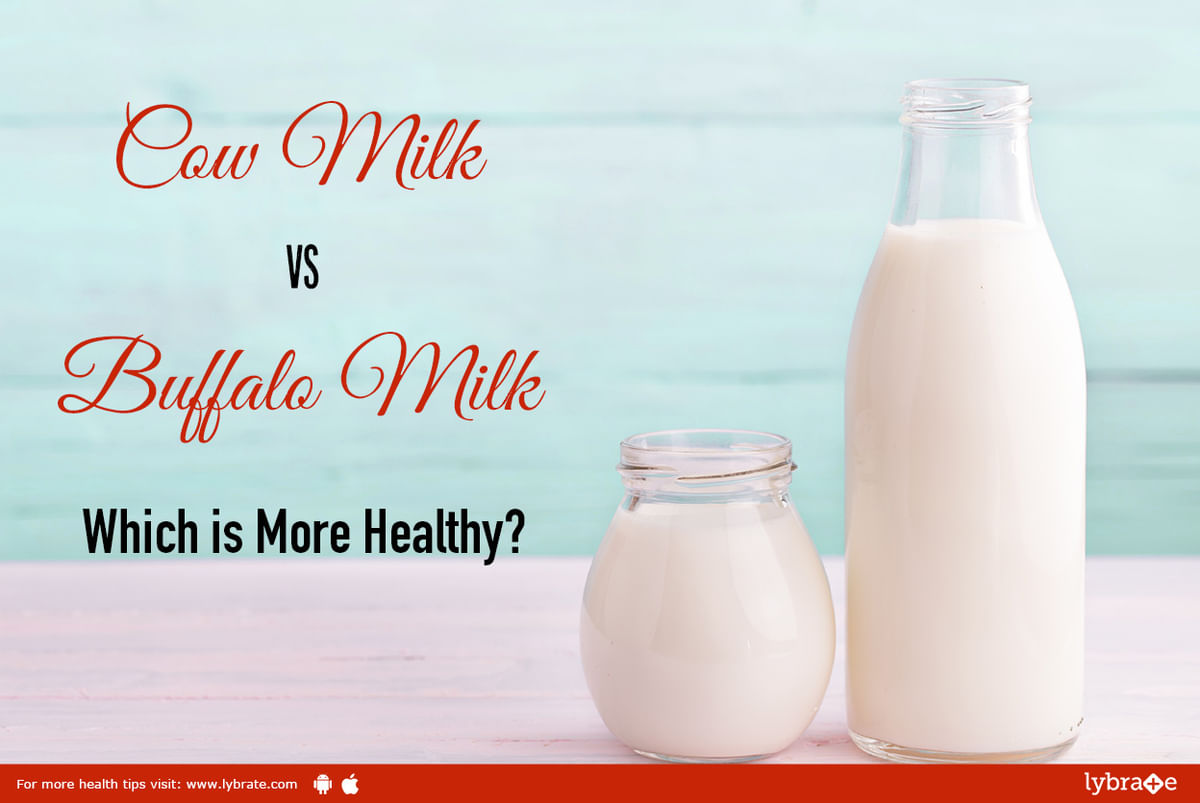 Cow Milk vs Buffalo Milk - Which is More Healthy? - By Dt. Tania | Lybrate