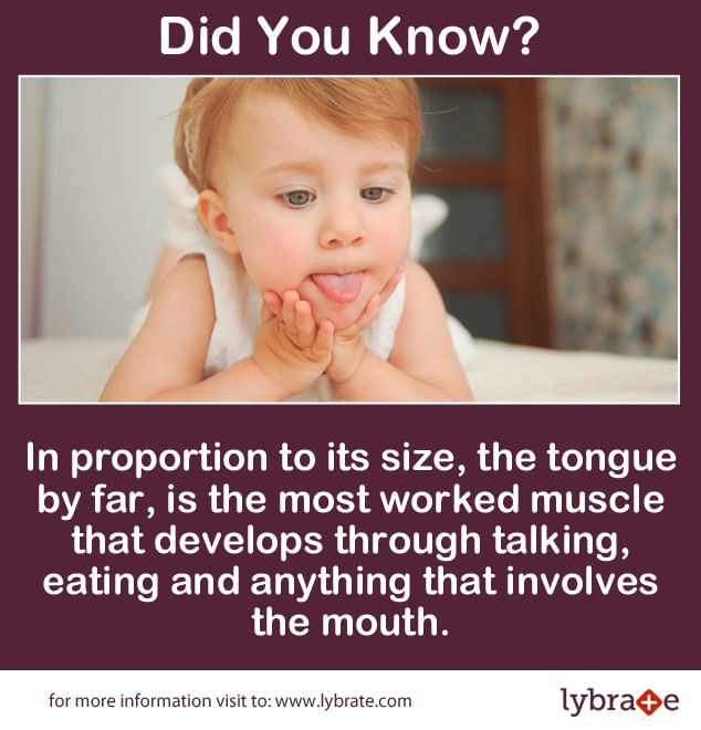 Super Fact Of The Day: The Strongest Muscle In Your Body Is Your Tongue 