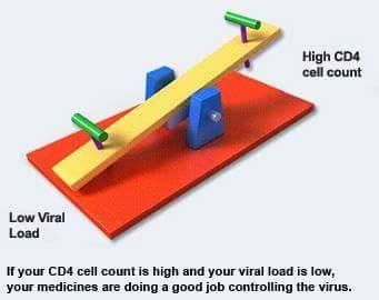 Relationship Between Cd4 And Viral Load In Hiv Patients By Dr Ajay Kumar Pujala Lybrate 