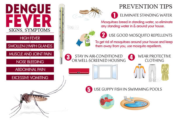 Dengue Fever: Signs, Symptoms and Prevention Tips - By Dr. Malhotra ...