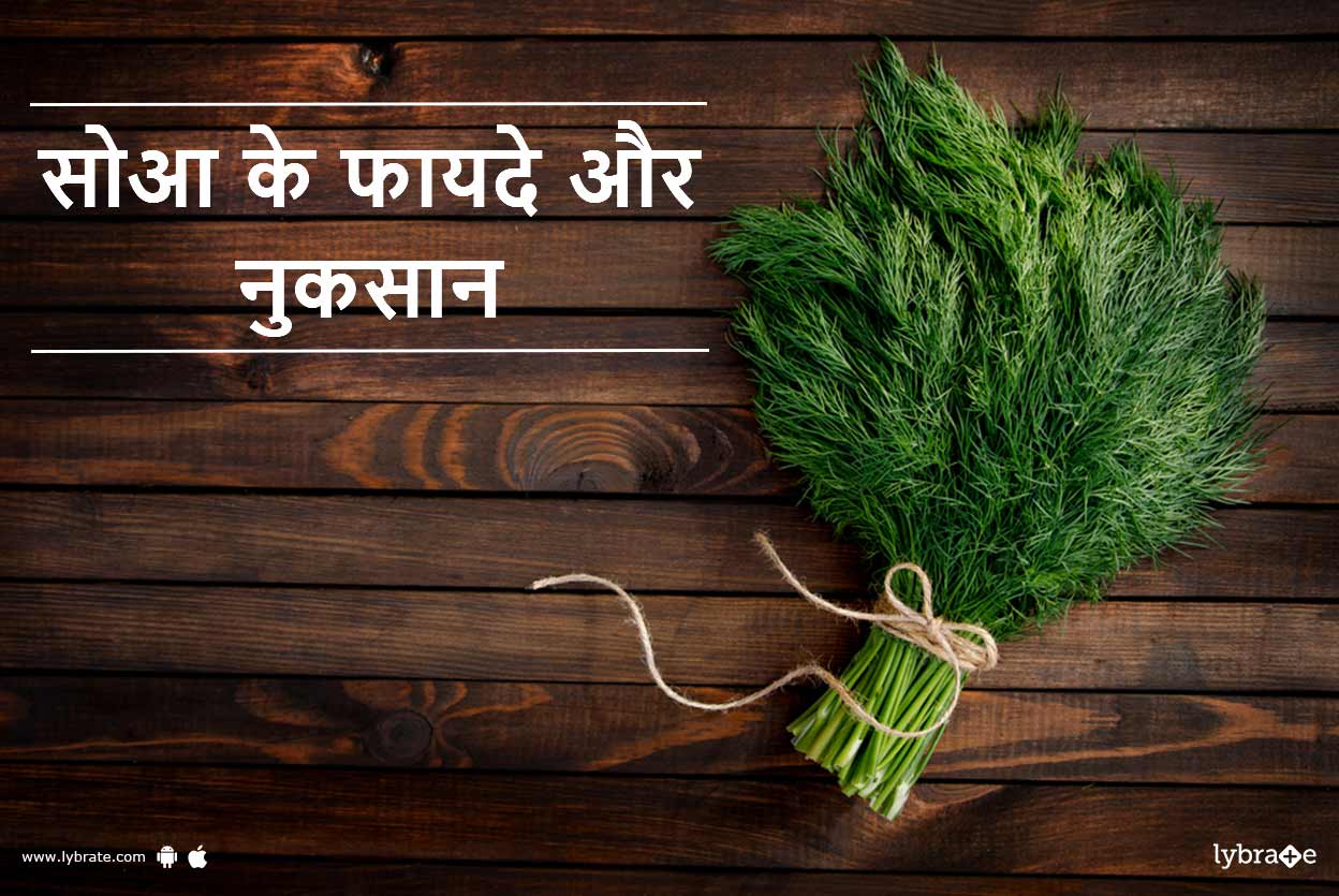 Dill (Sowa) Benefits and Side Effects in Hindi सोआ के फायदे और नुकसान