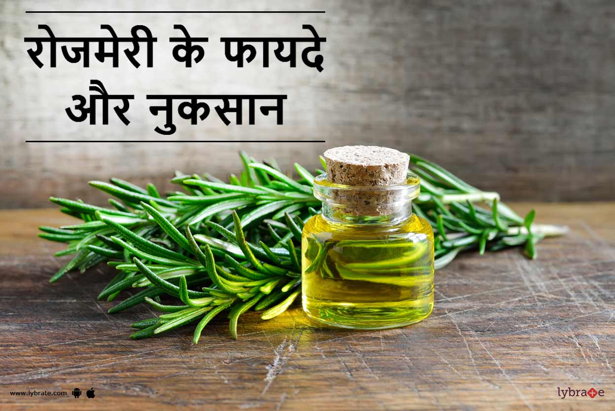 Rosemary Benefits and Side Effects in Hindi रोजमेरी के फायदे और