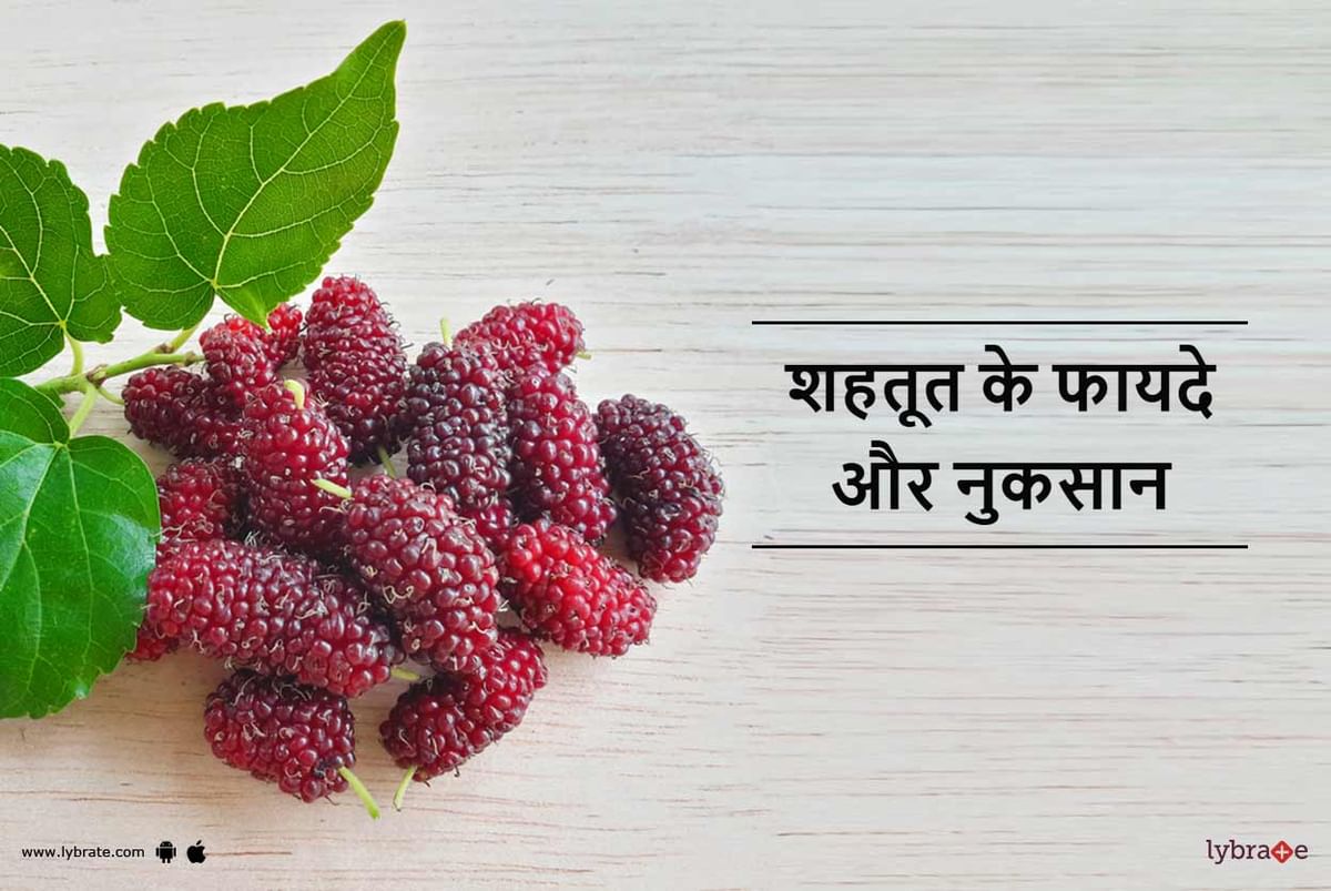 Mulberry tree discount meaning in hindi