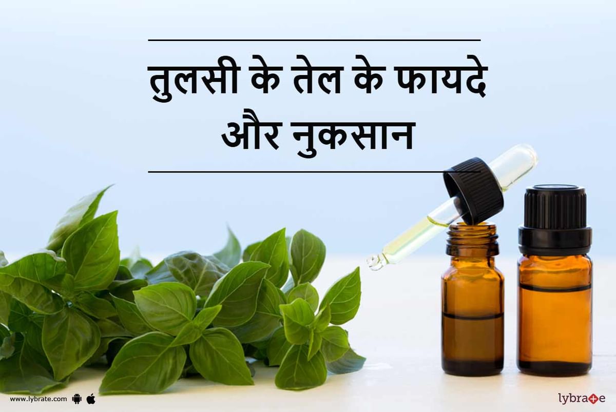 Basil Oil Tulsi ka Tel Benefits and Side Effects in Hindi