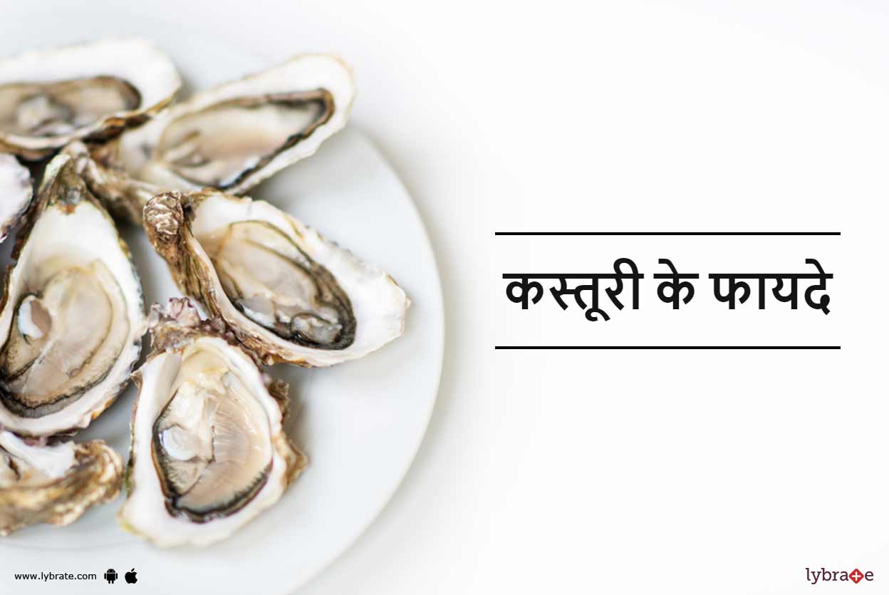 कस्तूरी के फायदे Benefits of Oysters (Kasturi) in Hindi