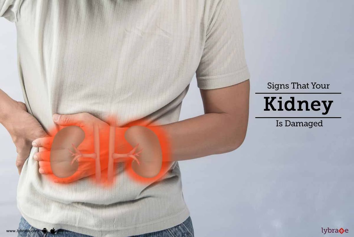 Signs That Your Kidney Is Damaged By Dr Garima Lybrate