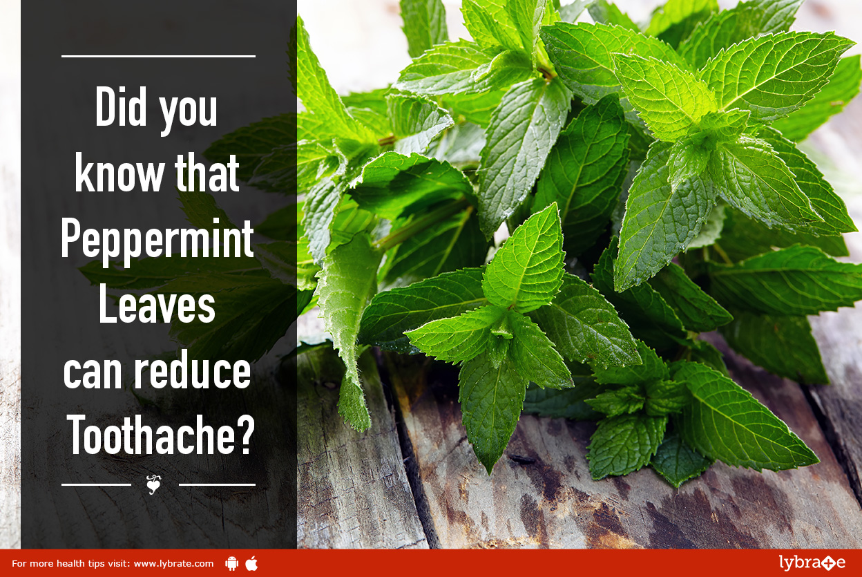 Did you know that peppermint leaves can reduce toothache? By Dr