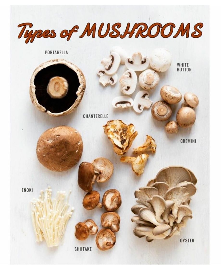Types Of Mushroom! - By Dt. Neha Suryawanshi | Lybrate