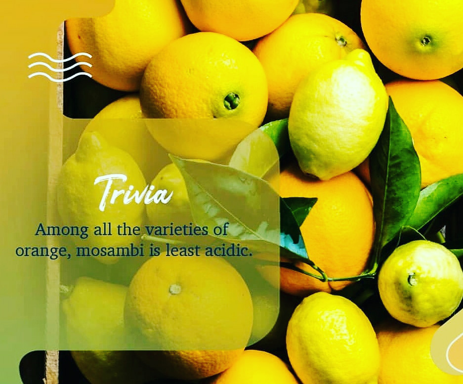 Trivia About Oranges! - By Dt. Neha Suryawanshi | Lybrate