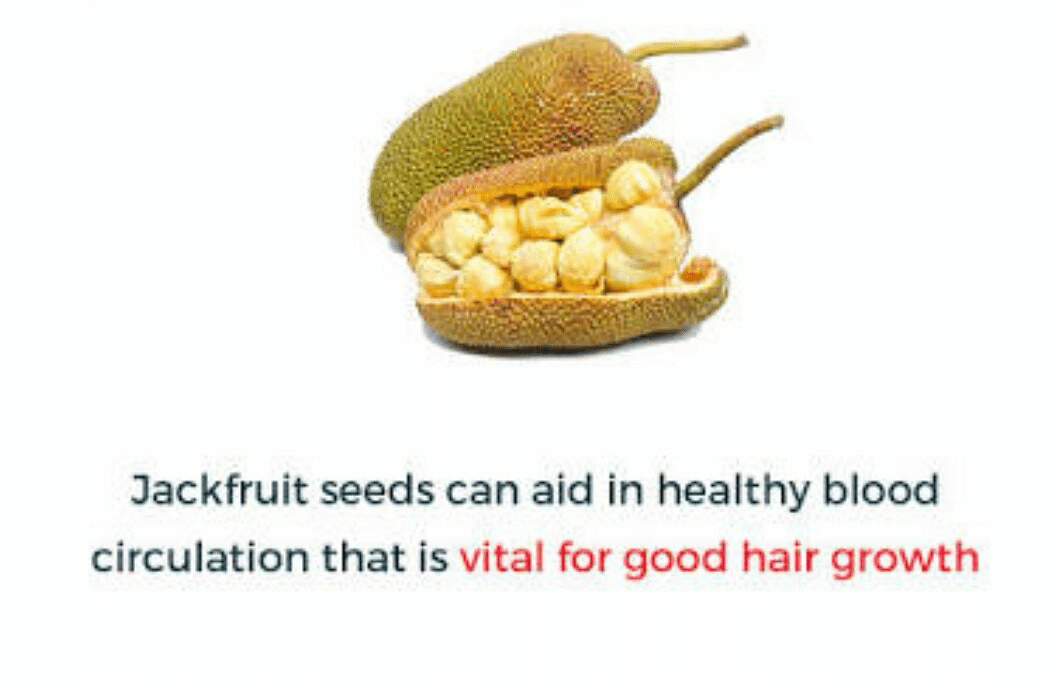 Health Benefits Of Jackfruit Seeds By Dt Neha Suryawanshi Lybrate