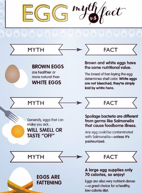 Egg Myth Vs Facts! - By Dt. Neha Suryawanshi | Lybrate