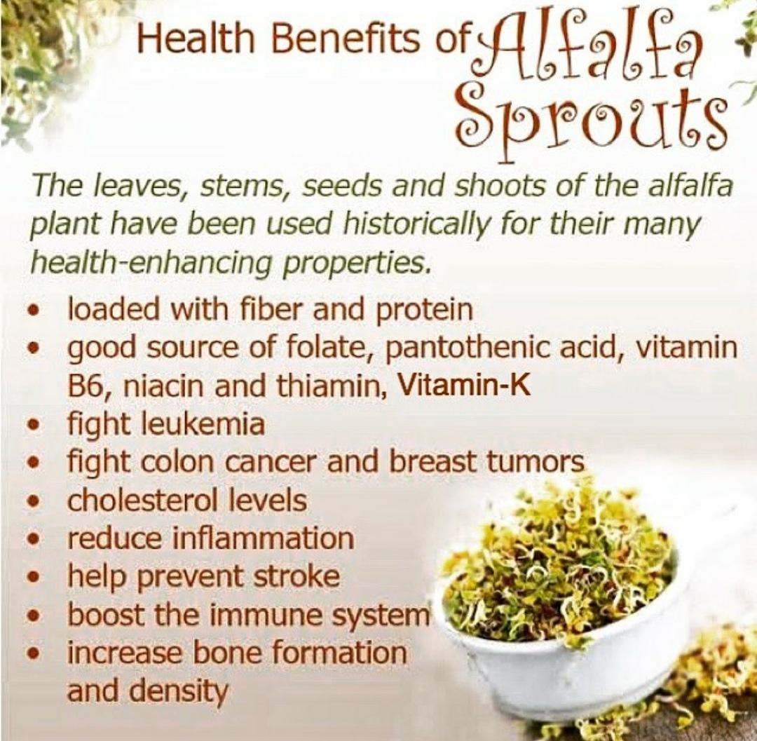 Benefits Of Sprouts! - By Dt. Neha Suryawanshi | Lybrate