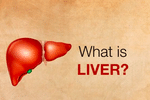 What is liver?