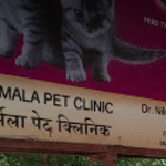 Nirmala Pet Clinic, Aurangabad