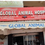 Global Animal Hospital | Lybrate.com