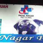 Patel Nagar Pet Clinic | Lybrate.com
