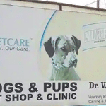 Dogs and Pups Pet Shop and Clinic in Vivek Khand-2, Lucknow - Book  Appointment, View Contact Number, Feedbacks, Address | Dr. V Kumar