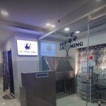 all creatures animal clinic marredpally