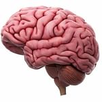 Dr.Gaikwad's Brain and Spine NeuroCare Clinic Aurangabad | Lybrate.com