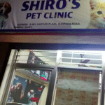 Shiro's Pet Clinic in Dombivali, Thane - Book Appointment, View Contact  Number, Feedbacks, Address | Dr. Bhushan Chaudhary