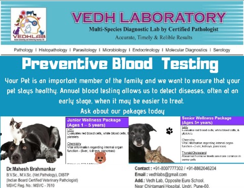 Dr.MaheshBrahmankar - Veterinarian, Pune