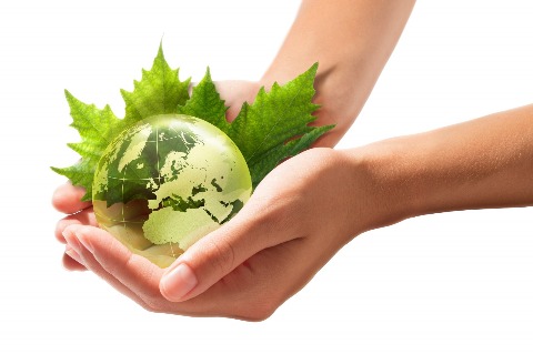 Dr. Harsha Nair - Ayurvedic Doctor, Bangalore