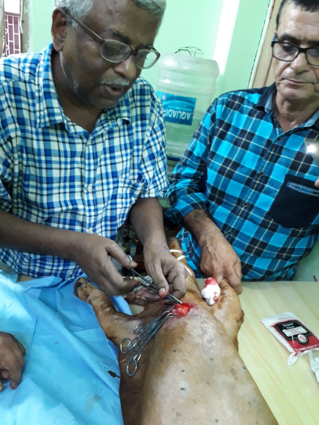 Dr.Kallol Kumar Sengupta - Veterinarian, Kolkata