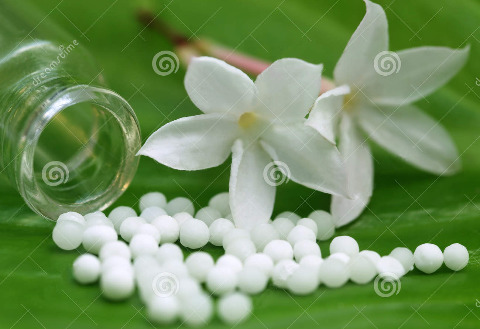 Dr. Mehvish H Dandoti. - Homeopathy Doctor, Mira road east thane.