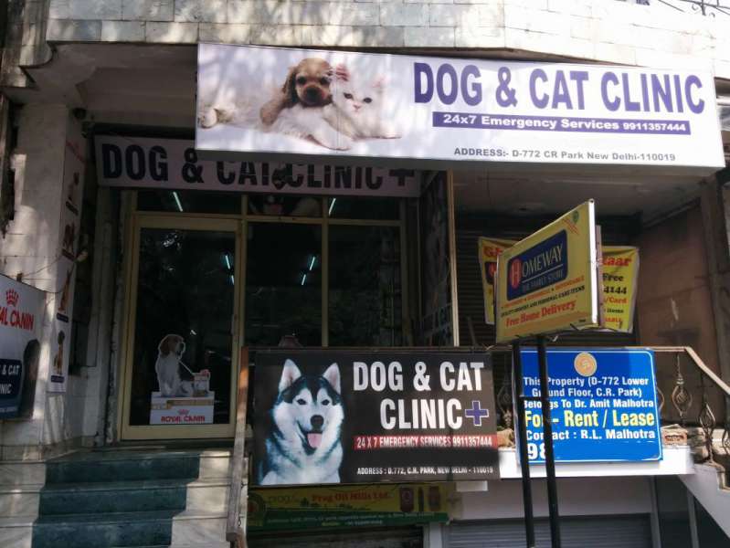 dog and cat clinic cr park