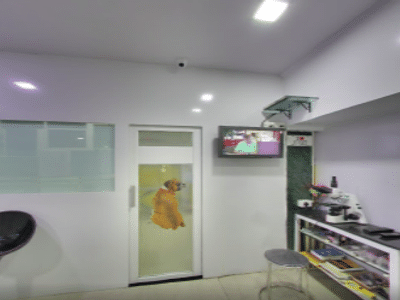 Planet Animal Hospital(Chestnut Plaza) in Varun Polyclinic, Thane - Book Appointment, View Contact Number, Feedbacks, Address | Dr. Sarojinee Kamble Planet Animal Hospital(Chestnut Plaza) in Varun Polyclinic, Thane - Book Appointment, View Contact Number, Feedbacks, Address | Dr. Sarojinee Kamble