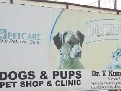 Dogs and Pups Pet Shop and Clinic in Vivek Khand-2, Lucknow - Book Appointment, View Contact Number, Feedbacks, Address | Dr. V Kumar Dogs and Pups Pet Shop and Clinic in Vivek Khand-2, Lucknow - Book Appointment, View Contact Number, Feedbacks, Address | Dr. V Kumar