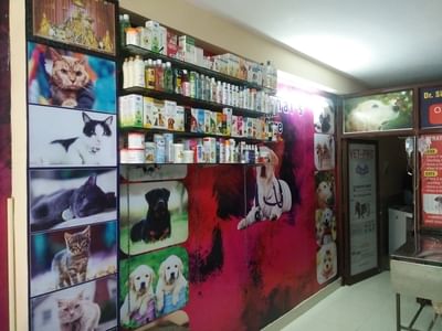 Dr. Singhal's Pet Care in Shiprapath, Jaipur - Book Appointment, View  Contact Number, Feedbacks, Address | Dr. Pradeep Singhal