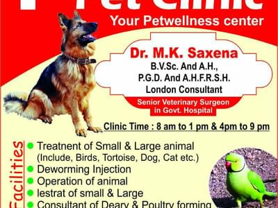 pet doctor near my location