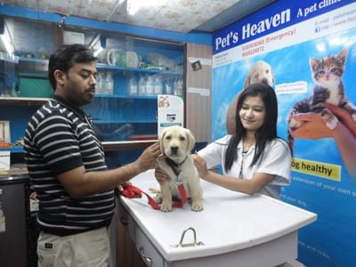 Pet's Heaven Pet Clinic in Magarpatta Road, Pune - Book Appointment, View  Contact Number, Feedbacks, Address | Dr. Nath B.