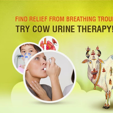 Jains Cow Urine Therapy Health Clinic Image 2