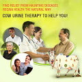 Jains Cow Urine Therapy Health Clinic Image 4