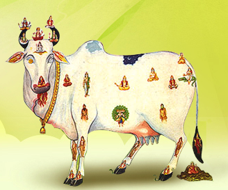 Jains Cow Urine Therapy Health Clinic Image 3
