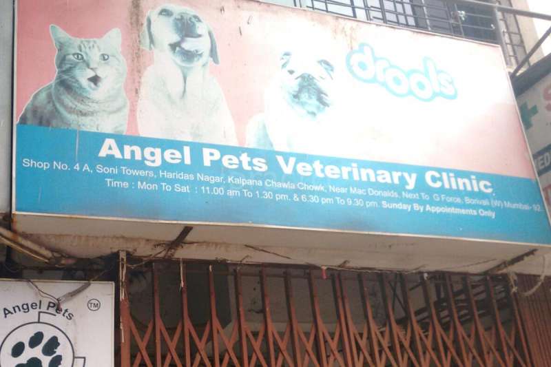 Best Veterinary Clinics In Mumbai Book Instant Appointment View